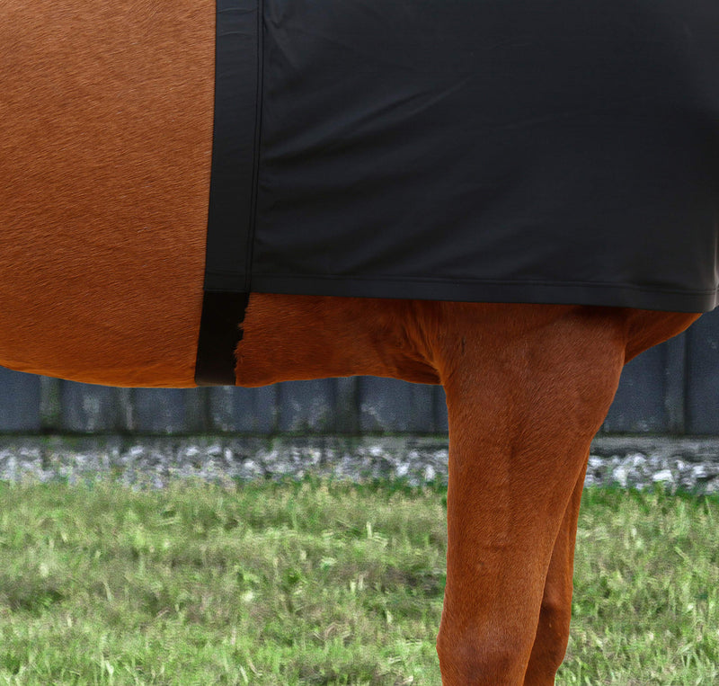 Harrison Howard Stretch Vest Anti Rub Bib Wither Shoulder Guard Horse Chest Saver Protector Full Size Black - PawsPlanet Australia