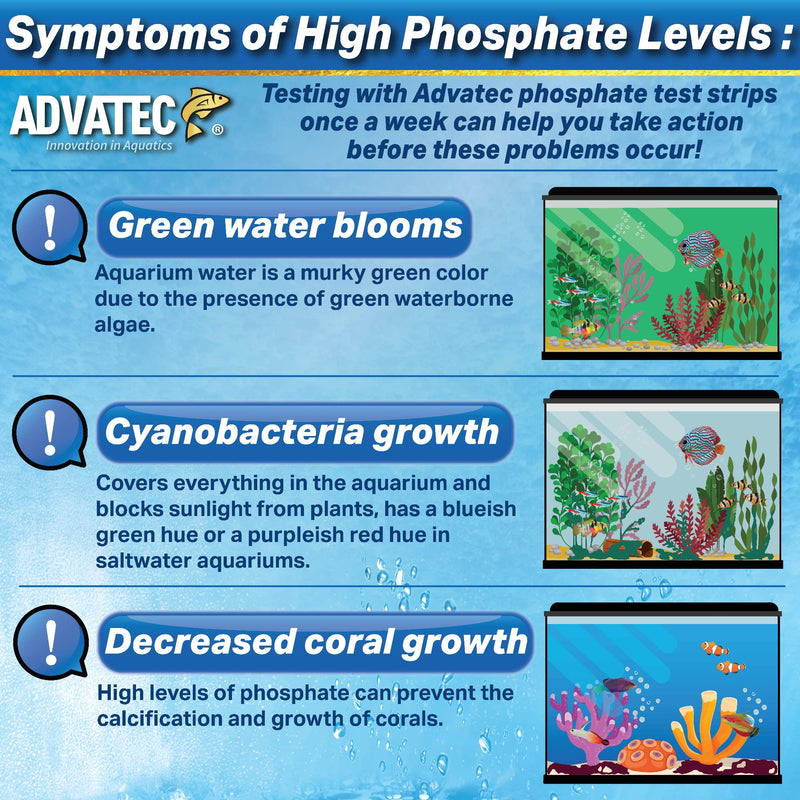Phosphate Aquarium Test Strips - for Fresh/Salt Water Aquariums, Lab Grade, for Professional Or Home Use - Fast & Accurate Results! (100 Count) 100 Count - PawsPlanet Australia