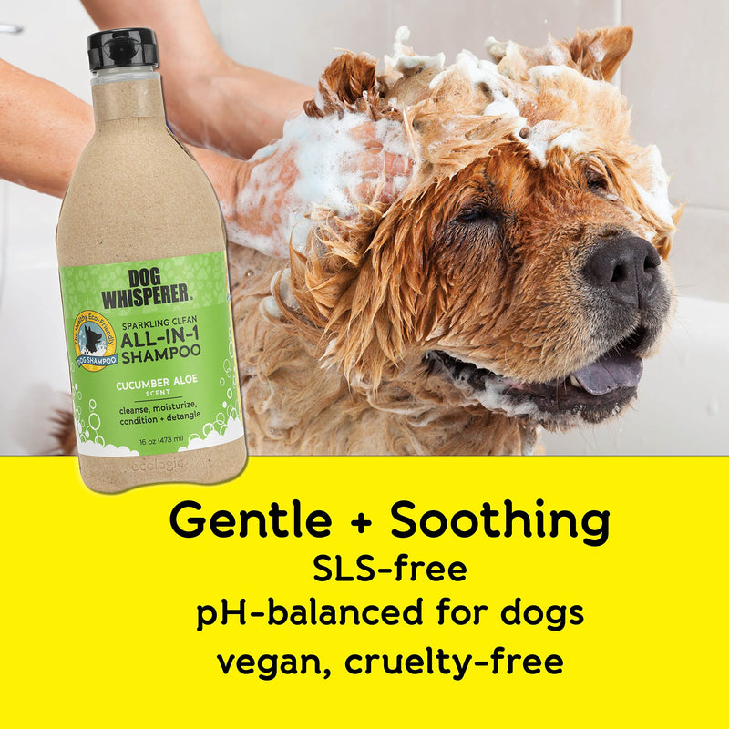 Dog Whisperer Sparkling Clean All-in-ONE Dog Shampoo by YAYA Organics | Cleanses, Conditions, Moisturizes and Detangles | Healthy + Eco-Friendly Formula with Fresh Cucumber Aloe Scent | 16 oz - PawsPlanet Australia
