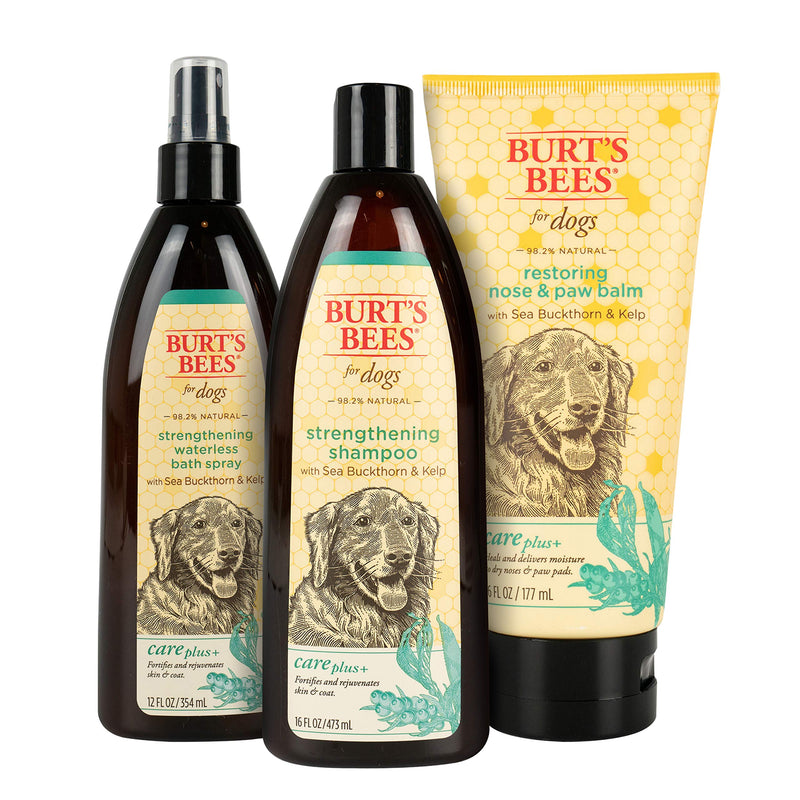 [Australia] - Burt's Bees Care Plus+ Sea Buckthorn & Kelp Strengthening Shampoo for Dogs | Dog Shampoo Strengthens Coat | 16 oz 