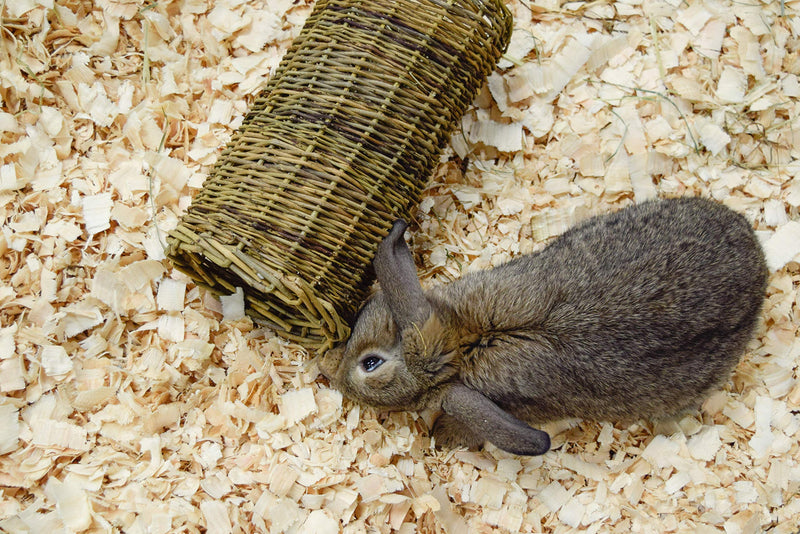 Nature First Small Willow Tube for Small Animals Single - PawsPlanet Australia