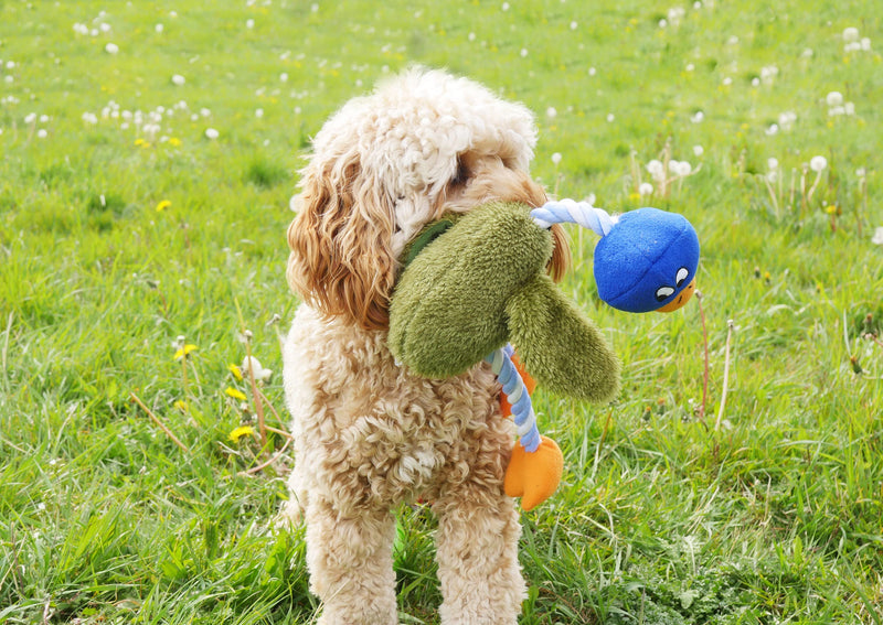 Rosewood Delia Duck Dog Toy - PawsPlanet Australia