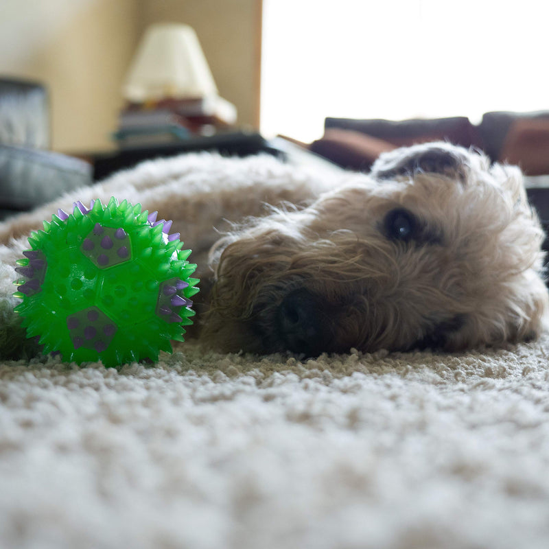 [Australia] - Gnawsome 3.5” Squeak & Light Soccer Ball Dog Toy - Medium, Cleans Teeth and Promotes Dental and Gum Health for Your Pet, Colors Will Vary 3.5" 