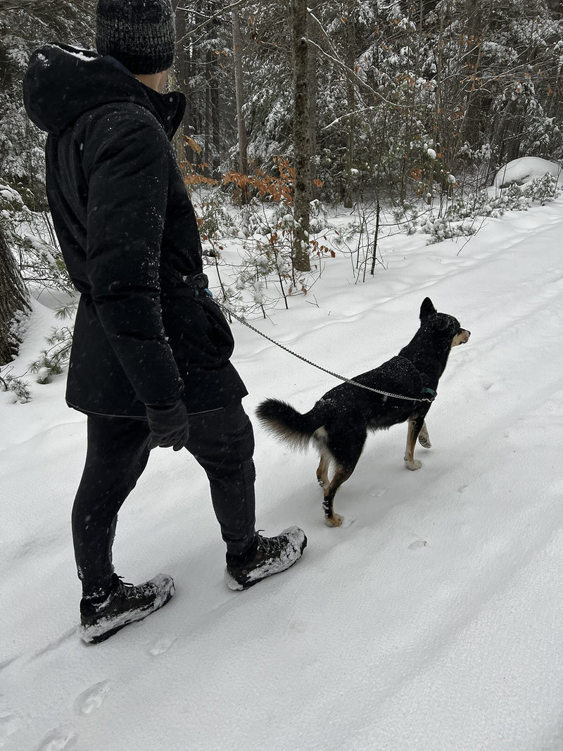 pupperoo Universal Multifunction Leash Tether | Waist Belt Leash | Leash Extension | Short Traffic Safety Leash - The Last Leash Accessory You'll Ever Need! - PawsPlanet Australia