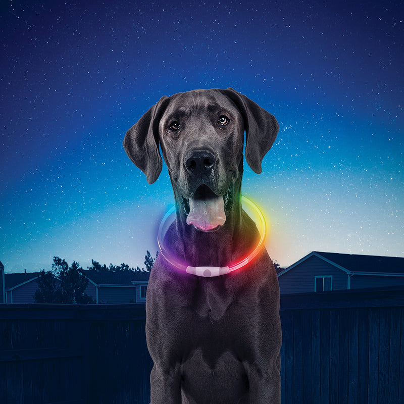 [Australia] - NiteHowl LED Safety Necklace, Universal, Reusable Visibility Necklace for Pets Disco-O Select 