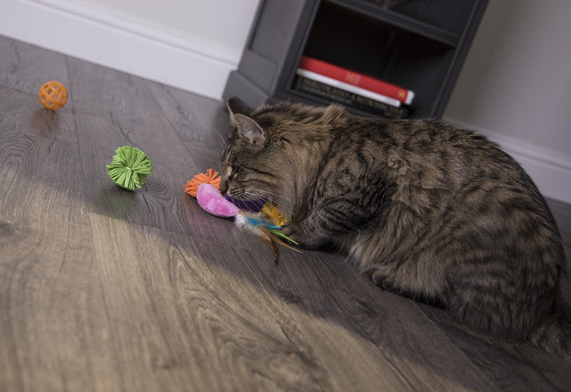 [Australia] - SmartyKat Value Pack Cat Toys Smarty Stash 13 Piece Variety Pack 