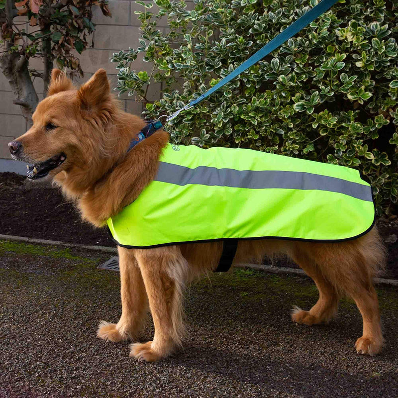 Proviz Sports 100% Reflective High-Vis Waterproof Dog Coat, Yellow, Medium - PawsPlanet Australia