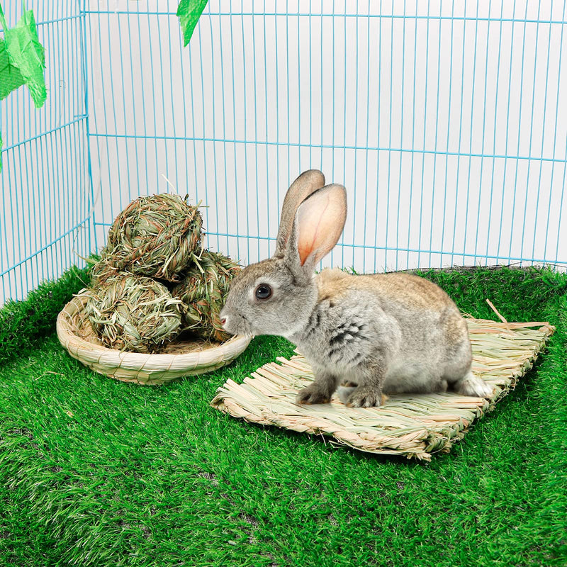 6PCS Bunny Chew Ball Toys,Rabbit Timothy Grass Grinding Gnawing Treats Rolling Ball & 2 Pcs Grass Woven Pet Mats for Bunny Rabbits Chinchilla Hamster Guinea Pigs Gerbils Activity Play Toys H01 - PawsPlanet Australia