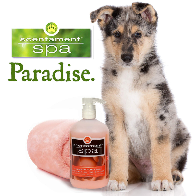 [Australia] - Best Shot Pet Scentament Spa Baby Powder Puppy Wash 16 Ounce 