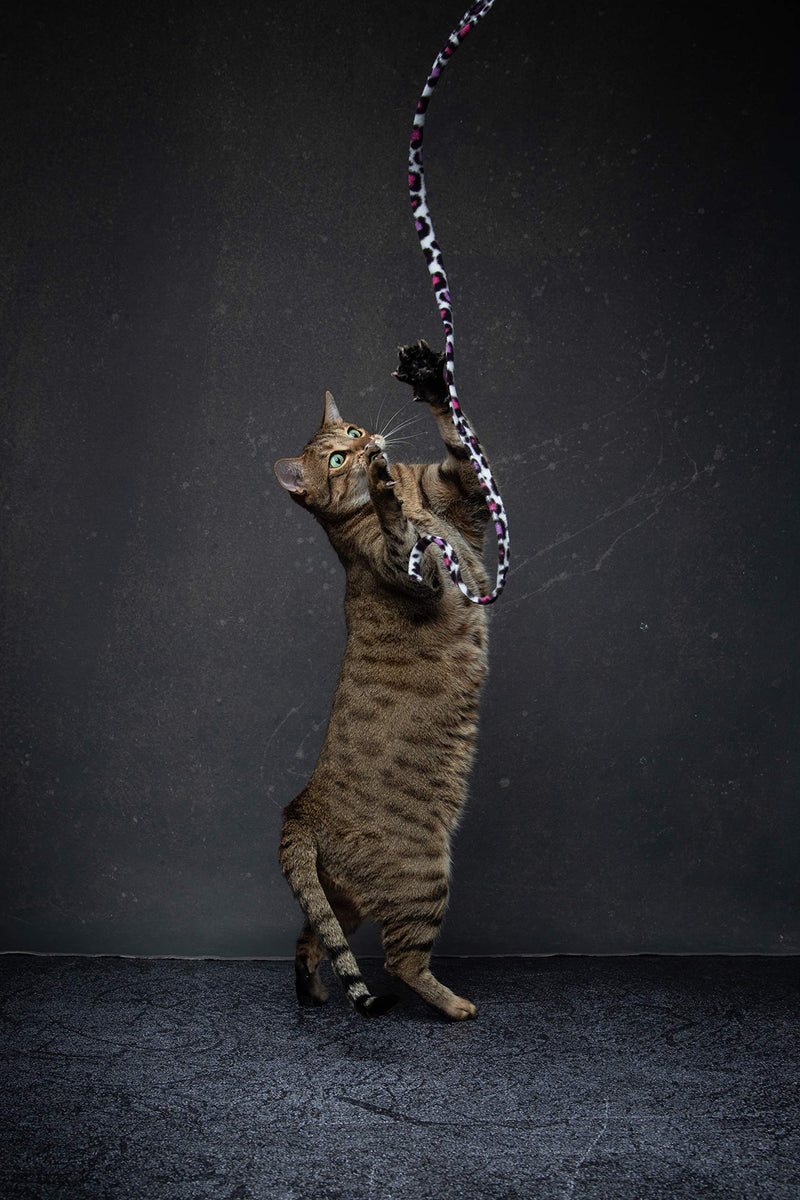 [Australia] - CAT DANCER Jungle Cat Wand 2 Pack, Multi Color (305) 