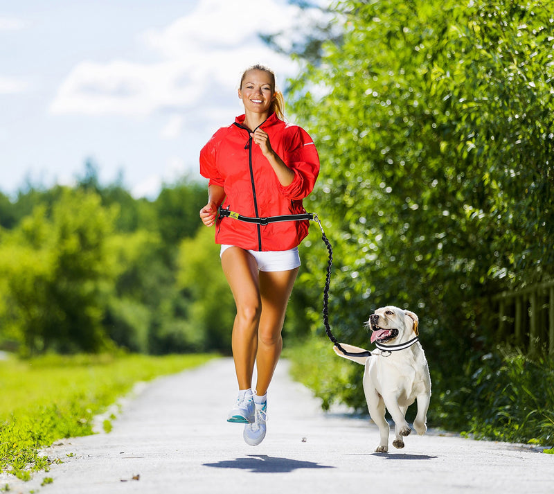 [Australia] - Hertzko Hands-Free Weather Resistant Dog Leash 48 inches Bungee 