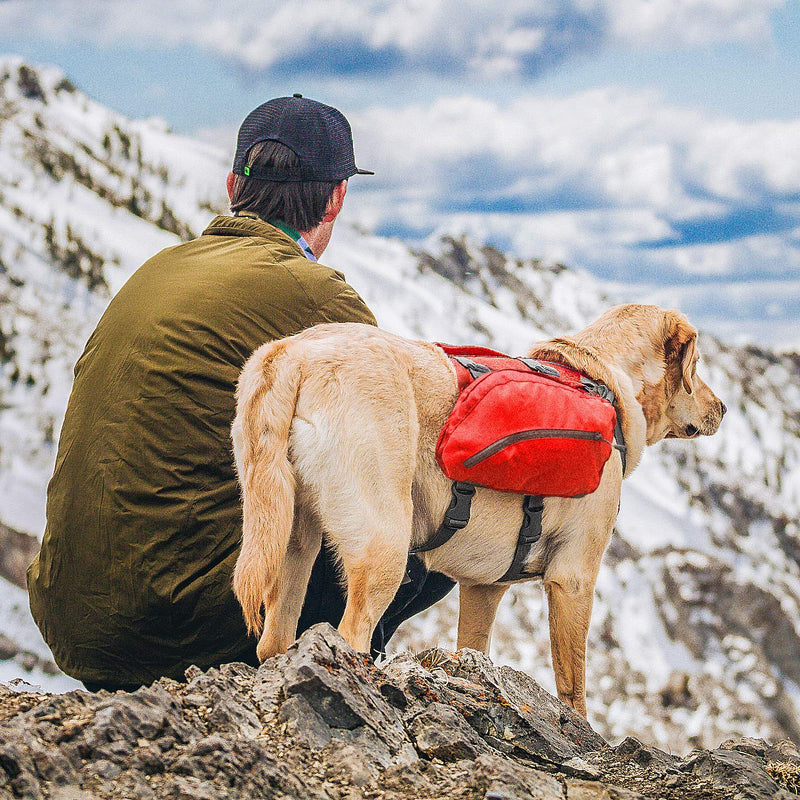 [Australia] - Kurgo Dog Saddlebag Backpack | Back Pack Dog Harness | Hiking Pack for Dogs | Packs for Pets to Wear | Camping & Travel Vest Harness | Reflective | Lightweight | Baxter Pack | For Medium & Large Pets Baxter- 30-85 lb dogs Coastal Blue 