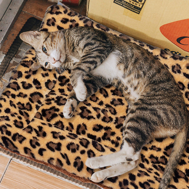 FLYSTAR Cat Bed Mat - Self Self Heating Warming Leopard Cute Cat Pad, Soft Flannel & Cotton, Support Machine Wash and Hand Wash, Comfortable Suitable for Small, Medium, Large Cats/Puppies 15.7"*19.7" - PawsPlanet Australia