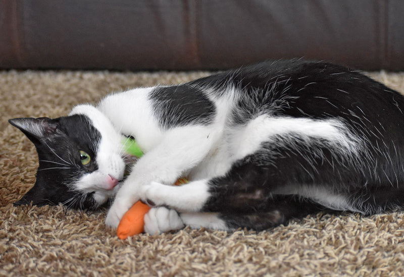 OurPets 100% North American Catnip Filled Cat Toys (Interactive Cat Toys for Indoor Cats, Kitten Toy, Cat Chew Toy & Catnip Toys for Cats) Great for Cats who enjoy Catnip & Interactive Cat Toys 24 Karat - PawsPlanet Australia