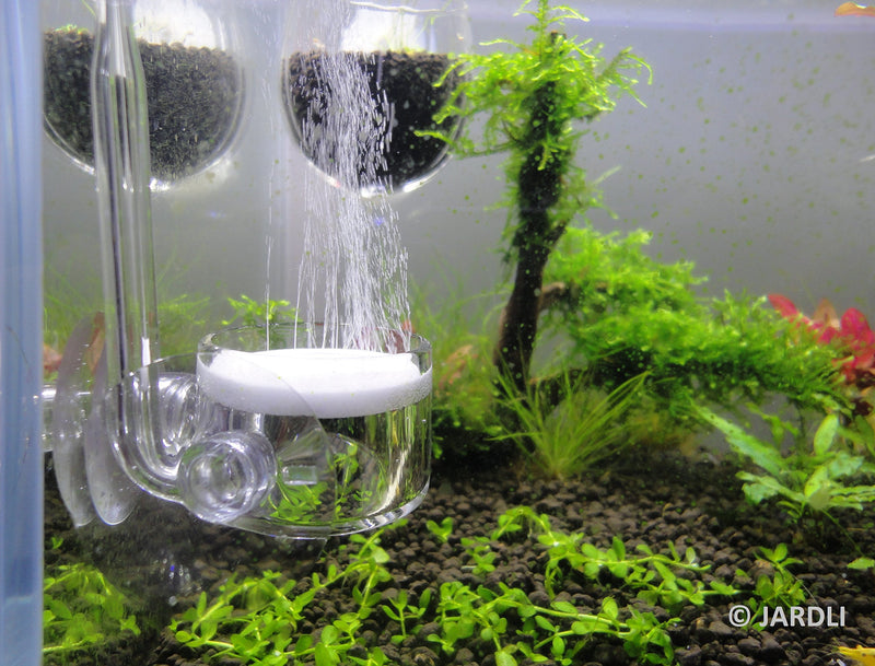 [Australia] - JARDLI Pollen Glass CO2 Diffuser with U-Shape Connecting Tube for Aquarium Planted Tank 1.5" for 20 - 50 US gallons 