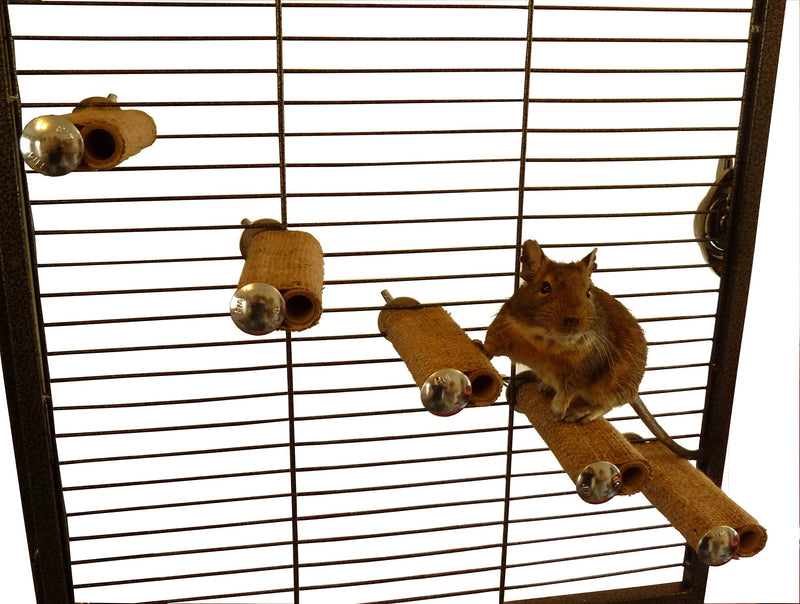 Degu step - 5 Pack - PawsPlanet Australia
