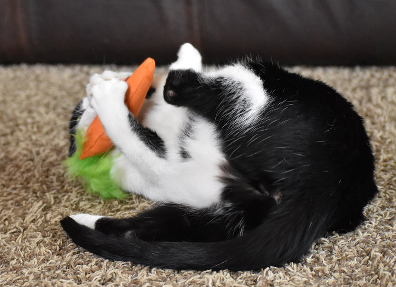 OurPets 100% North American Catnip Filled Cat Toys (Interactive Cat Toys for Indoor Cats, Kitten Toy, Cat Chew Toy & Catnip Toys for Cats) Great for Cats who enjoy Catnip & Interactive Cat Toys 24 Karat - PawsPlanet Australia