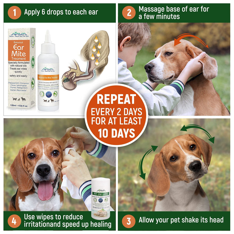 Arava Natural Ear Mite Treatment - for Dogs & Cats - Pet Ear Mites Infection Cleaner - Treat Inaccessible Areas & Prevent Infections - NOT for Cats Under 13 LBS & Puppies Under 9 Months - PawsPlanet Australia