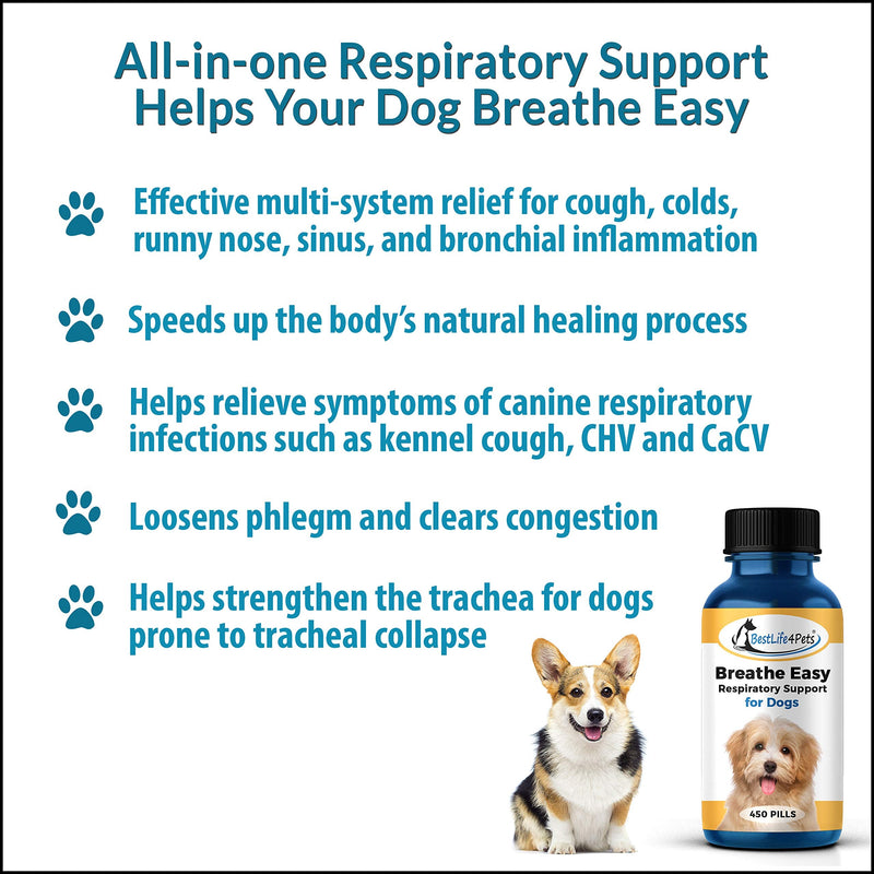 BestLife4Pets Breathe Easy Respiratory Support for Dogs - Natural Relief for Kennel Cough, Runny Nose, Sneezing and Sinus Congestion - Non-drowsy, Easy to Use (450 Pills) - PawsPlanet Australia