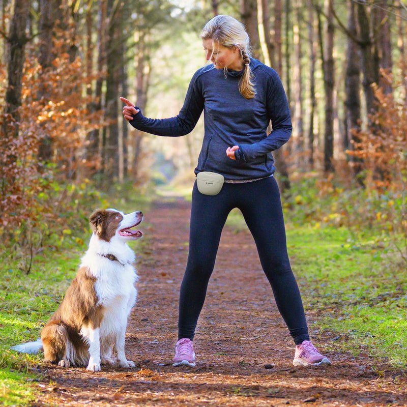 Navaris Silicone Dog Treat Pouch - Training Pet Puppy Bag Pocket Snack Treat Food Holder with Clip for Belt for Dog Walks - Set of 2 Grey & dark blue - PawsPlanet Australia