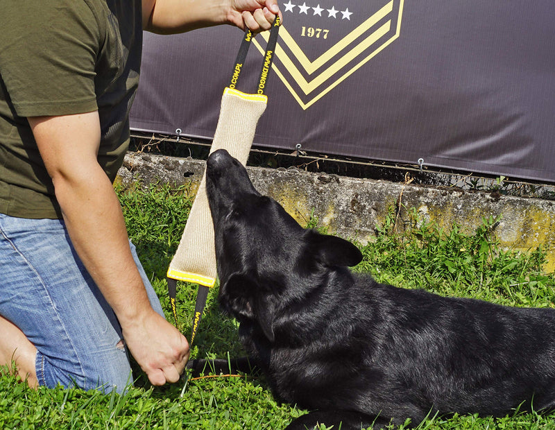 Dingo Jute Bite Tug With Two Handles For Tug Of War Play Dog Bite Training 10579 40 x 6 cm - PawsPlanet Australia