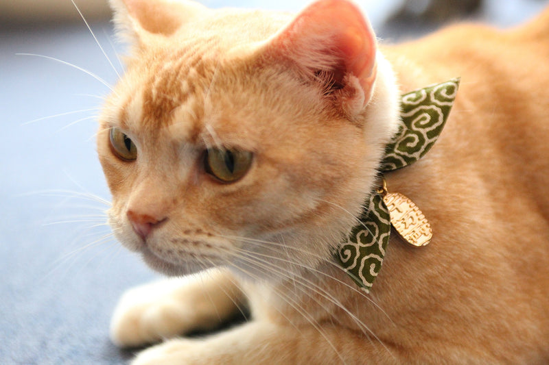 Necoichi Ninja Cat Collar (Green) Green - PawsPlanet Australia