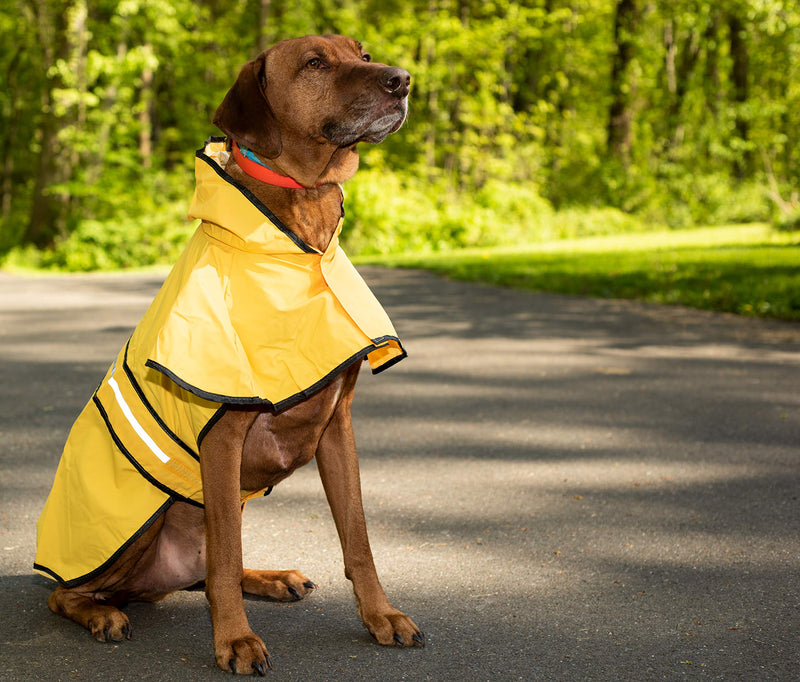 [Australia] - Fashion Pet Dog Raincoat For Small Dogs | Dog Rain Jacket With Hood | Dog Rain Poncho | 100% Polyester | Water Proof | Yellow w/ Grey Reflective Stripe | Perfect Rain Gear For Your Pet! by Ethical Pet Medium 