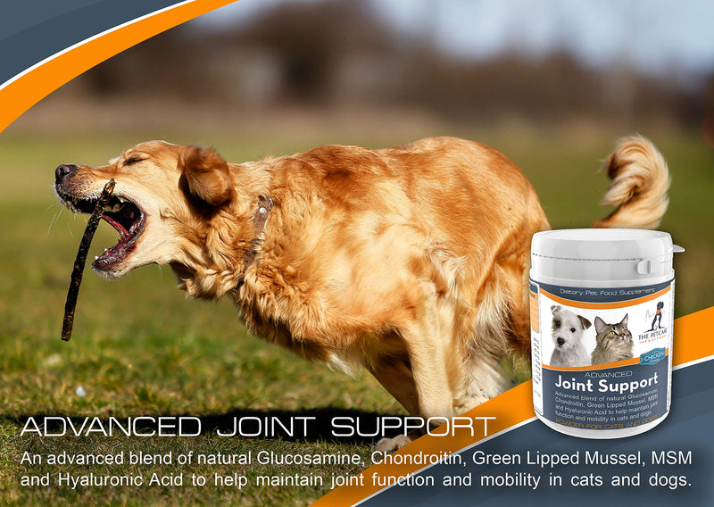 Advanced Joint Support Supplement Powder For Cats & Dogs, With Powerful Glucosamine, Chondroitin, Green Lipped Mussel, MSM, Curcumin & Hyaluronic Acid, Human Grade Ingredients, UK Manufactured - PawsPlanet Australia