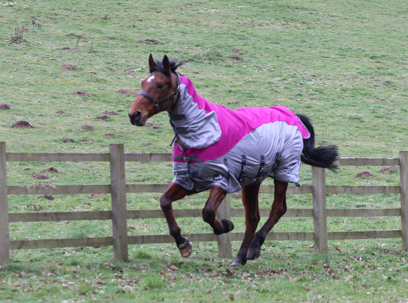 Horse Fly Rug With Waterproof Turnout Top 600 D Lightweight Horse Fly Rug Mesh Raspberry/Grey (5'6'', RASPBERRY/GREY) 5'6'' - PawsPlanet Australia
