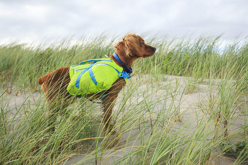 Outward Hound, Lightweight Dog Backpack, Hiking Gear for Dogs Crest Stone Small/Medium Green - PawsPlanet Australia