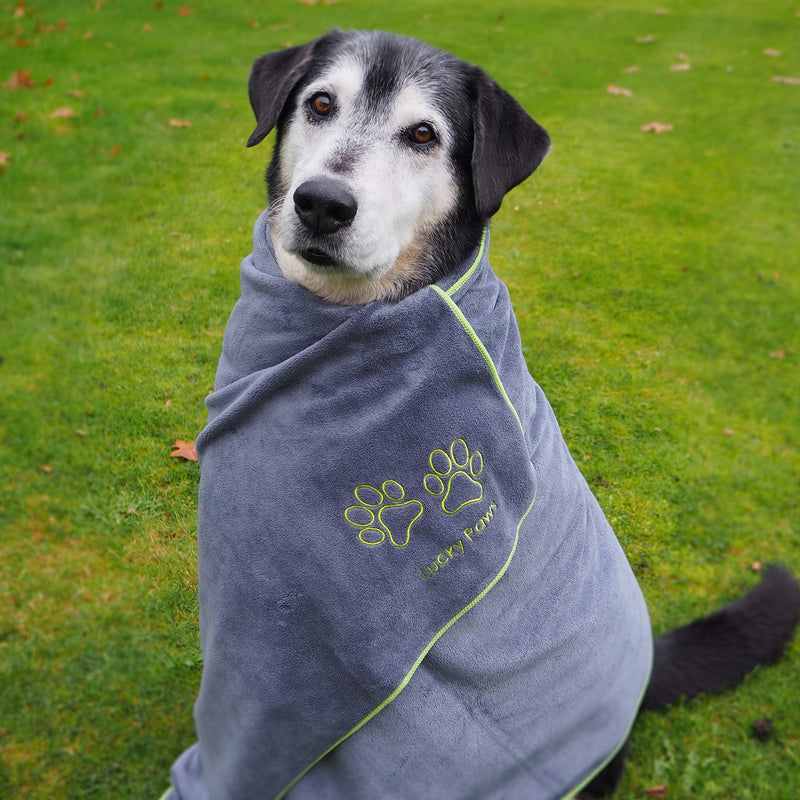 Lucky Paws® Dog Towel - Large - Super Absorbent Microfibre Towel - Fast Drying - Super Soft - UK Based Seller - 140 x 70cm - Premium Pet Towels - Machine Washable & Dryable - Grey Pack of 1 - PawsPlanet Australia