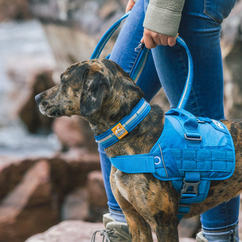 [Australia] - Kurgo Extra Wide Comfort Collar for Dogs | Molle Compatible Dog Collar | Reflective | Quick Release Buckles | Bottle Opener | Small, Large Dogs | Rsg Dog Collar | Blue/Grey (Medium) 