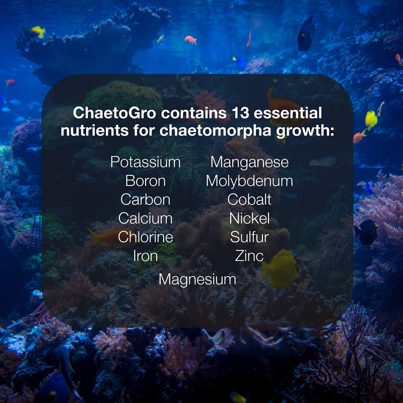 [Australia] - Brightwell Aquatics Chaeto Gro - Multi-Nutrient Supplement for Chaetomorpha Algae Growth in Marine Aquarium Tanks 500-ML 