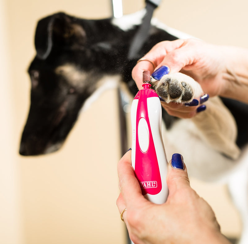 Wahl Professional Animal Pet, Dog, and Cat Premium Nail Grinder - PawsPlanet Australia