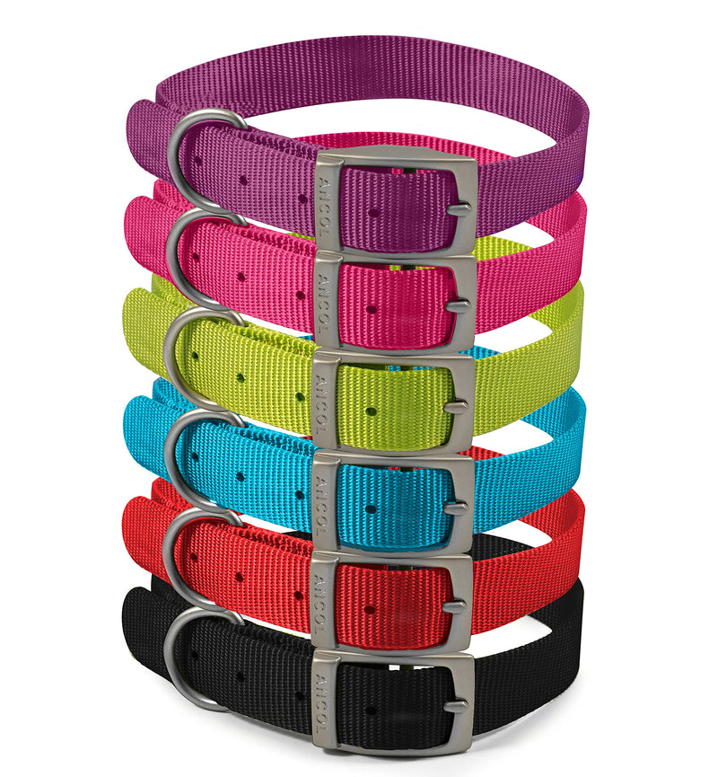 Ancol Viva Lightweight Buckle Collar Red, Collar Size 4 to fit 35-43cm, Weather Proof - PawsPlanet Australia