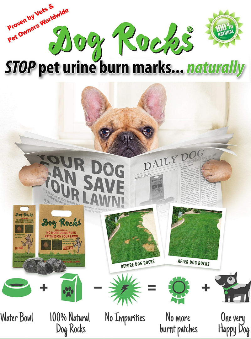 Dog Rocks - 100% Natural Grass Burn Prevention - Prevents Lawn Urine Stains - Three Small Bags - 6 Month Supply - PawsPlanet Australia