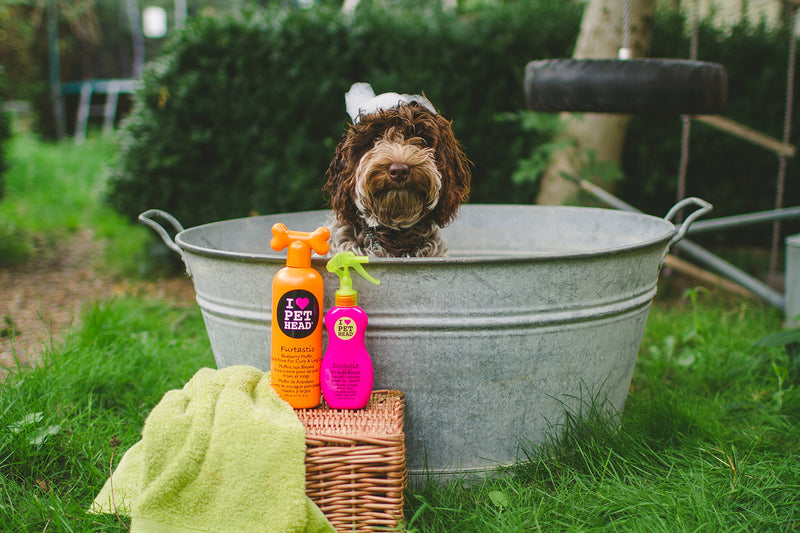 [Australia] - PET HEAD Life's An Itch Soothing  Shampoo 