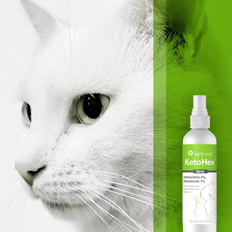 VetOne Ketohex Spray, 8 oz - PawsPlanet Australia