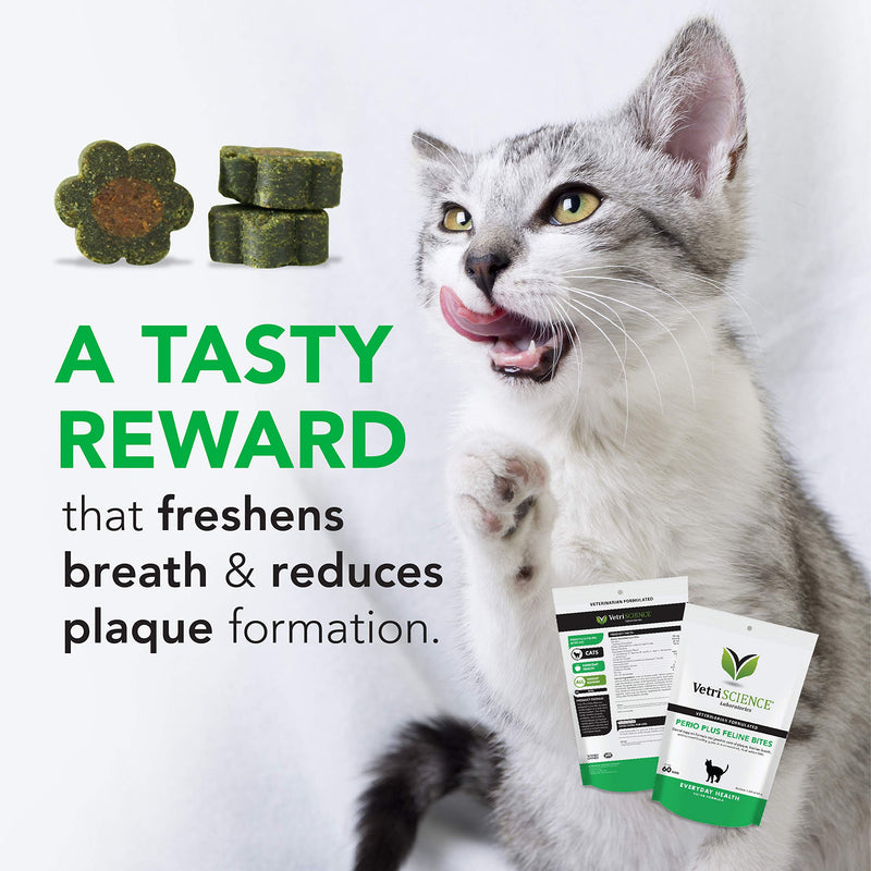 VETRISCIENCE Perio Plus Crunchy Teeth Cleaning Treats for Cats - Fresh Breath and Gums - Plaque Control - Vet Recommended, Green, 60 Chews (090041B.060) - PawsPlanet Australia