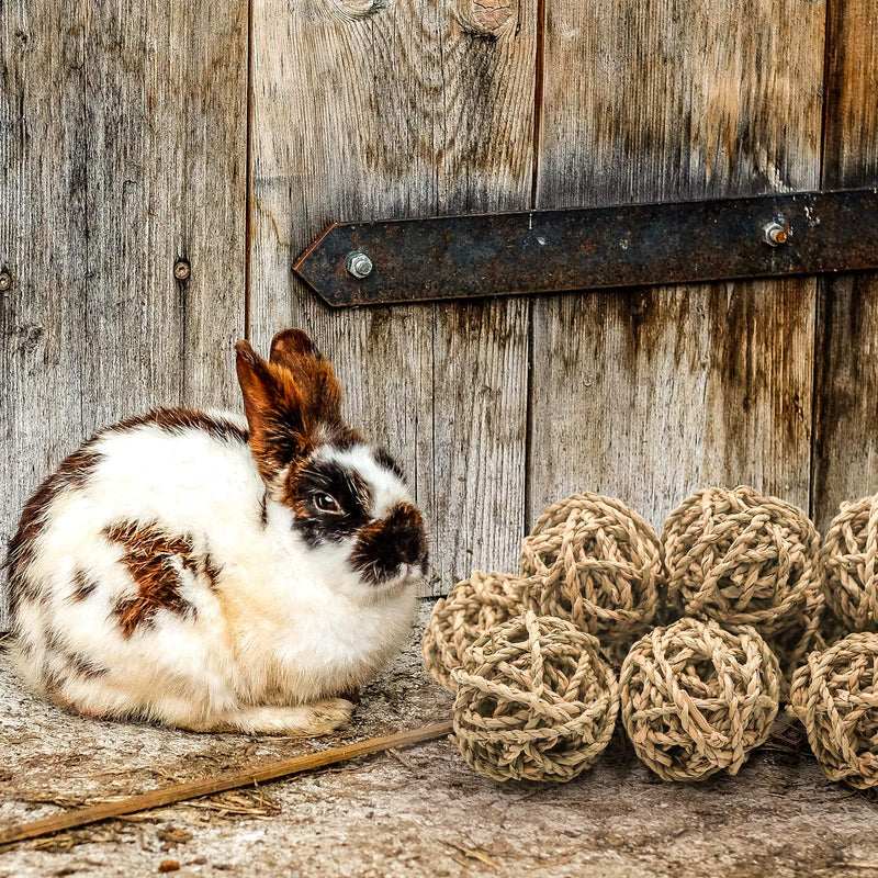 8 Pcs Small Animals Play Balls Rolling Activity Chew Toys Gnawing Treats for Rabbits Guinea Pigs Chinchilla Bunny Natural Balls, Pet Cage Entertainment Accessories 10Pcs - PawsPlanet Australia