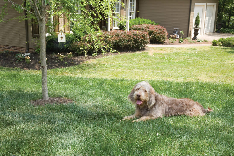 PetSafe Outdoor Bark Control, 15 m Range, Automatic, Anti-Bark, Ultrasonic Stimulation - PawsPlanet Australia