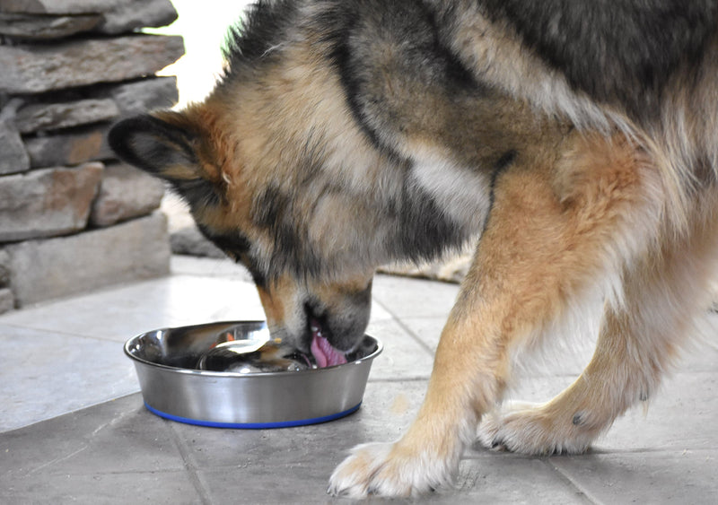 [Australia] - OurPets DuraPet Slow Feed Premium Stainless Steel Dog Bowl (Durable Stainless Steel Dog Bowls, Slow Feeder Dog Bowls, Dog Food Bowl, Dog Water Bowl) Great Alternative to Snuffle Mat for Dogs Medium 