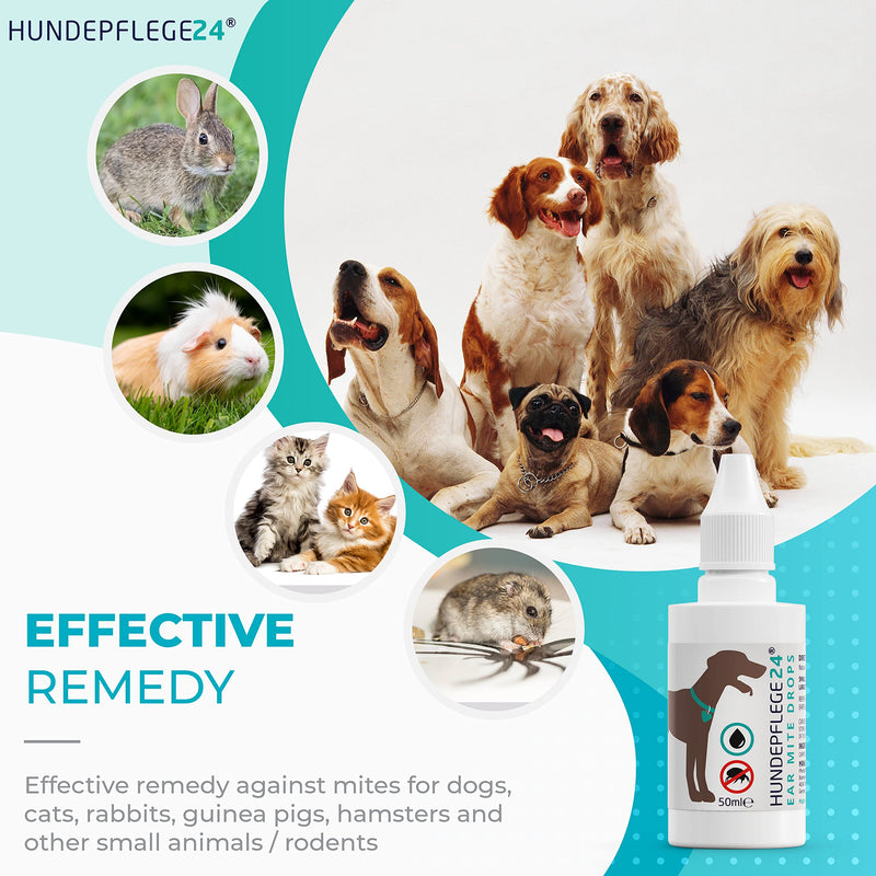 Hundepflege24 - Ear drops for dogs 2x 50ml - Ear mite treatment for dogs, cats and other pets - 100% natural & vegan ear care against itching, fungi & acariasis - PawsPlanet Australia