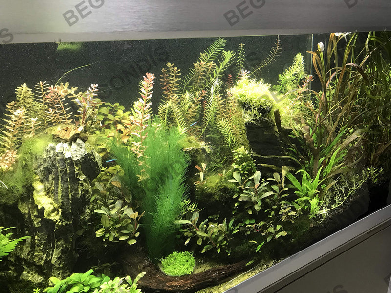 Aquarium Decorations Fish Tank Artificial Green Water Plants Made of Soft Plastic, Good for All Fish & Pets (g2) 18cm/8 - PawsPlanet Australia