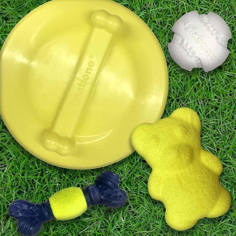 Nylabone Power Play Fetch Toys for Dogs, Interactive Dog Toys for Dogs Large (1 Count) Ultra Glider - PawsPlanet Australia