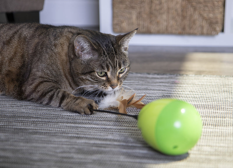 [Australia] - Petlinks Electronic Motion Cat Toys Wild Thing 