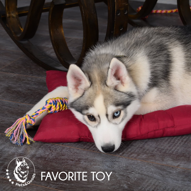 Dog Toys - Dog Chew Toys - Puppy Teething Toys- Puppy Chew Toys - Rope Dog Toy - Puppy Toys - Small Dog Toys - Chew Toys - Dog Toy Pack - Tug Toy - Dog Toy Set - Washable Cotton Rope for Dogs - PawsPlanet Australia