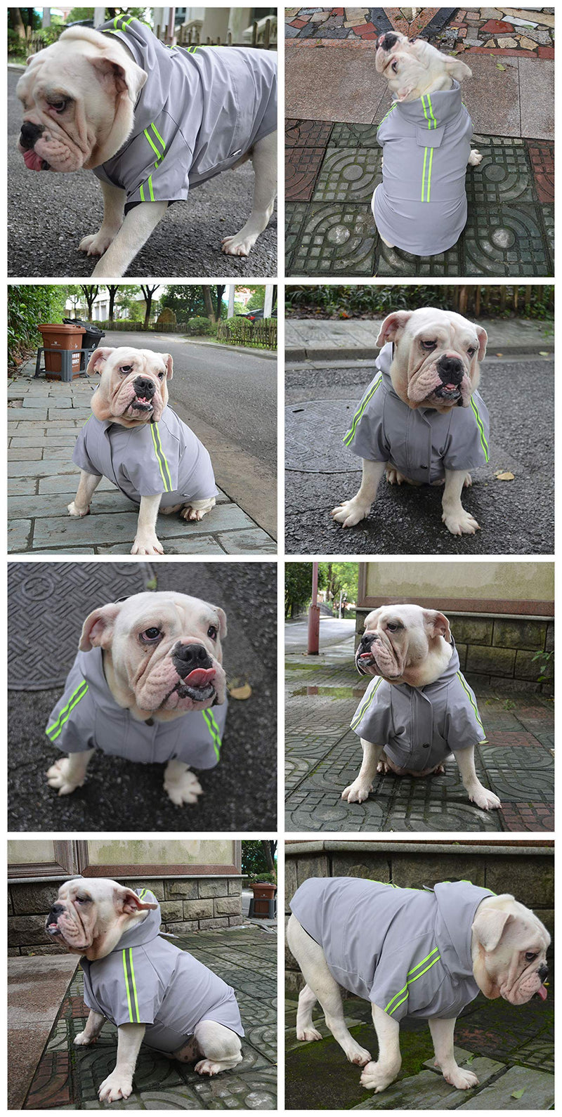 [Australia] - Lovelonglong Fashion Hooded Pet Dog Raincoat, Lightweight Dog Rain Jacket Zipper Closure Rain Poncho with Reflective Strip for Small Medium Large Dogs XXXL (Large Dog ~80lbs) Gray 