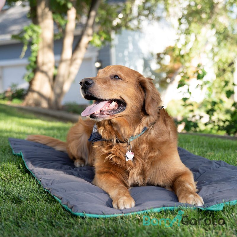 [Australia] - BomGaroto Portable Pet Mat - 46.5 x 33 Inch Cat and Dog Mat for Crate Bed, Dog Cage, Fireside or Camping! Waterproof Dog Beds for Medium Dogs and Small Dogs. Large Dog Bed with Storage Carry Bag 