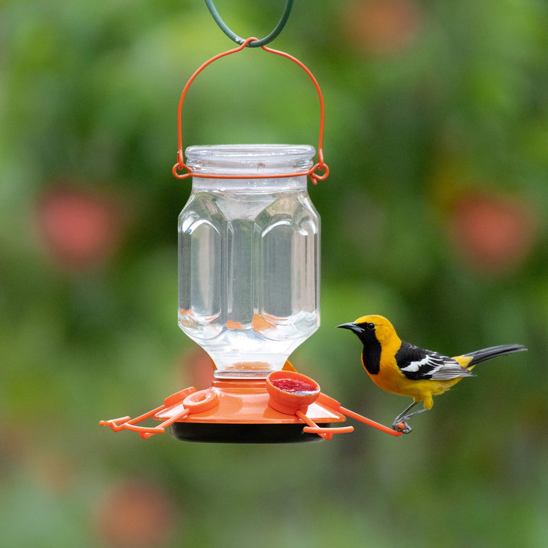 Perky-Pet 9113-2 Top-Fill Glass Oriole Feeder – 22 Oz - PawsPlanet Australia